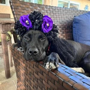 Meet your Posher, Michele